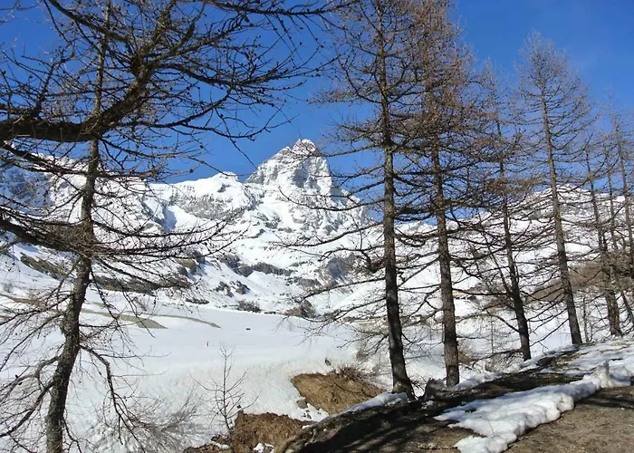 President Palace - Cervinia -appartamento 6 - Cir 0634 Апартаменти